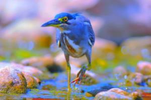 意甲联赛新格局,比分结果与球队表现的深层分析意甲联赛新格局比分结果