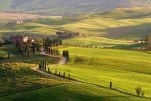 意甲半程,球员们的挑战与突破意甲联赛踢完半程的球员